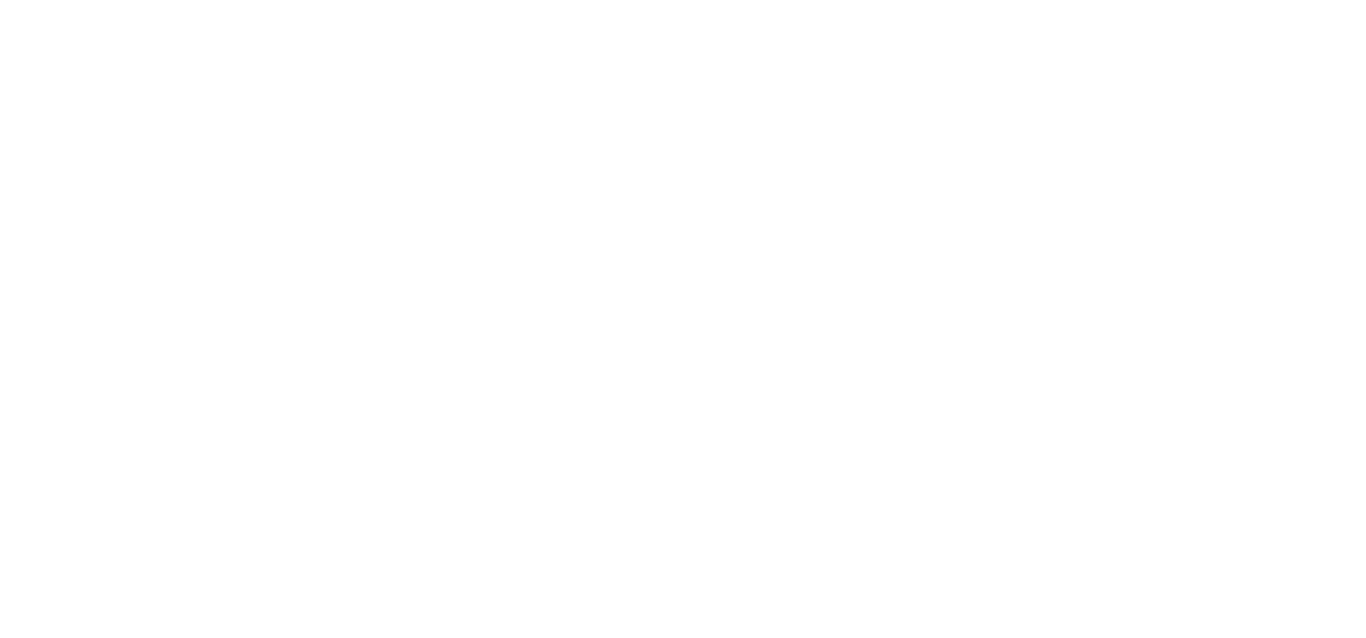 Vivian zerle logo